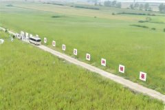  该集团产物矩阵已