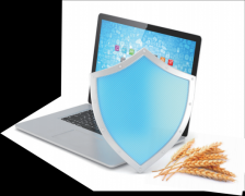 <b>社会轨制被党的二十大演讲明白为市场经济根本</b>